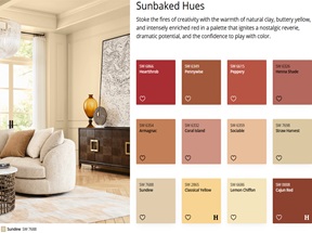 Color consultation inspiration